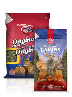 picture of bag